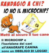 randagio